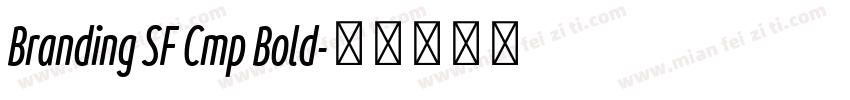 Branding SF Cmp Bold字体转换
